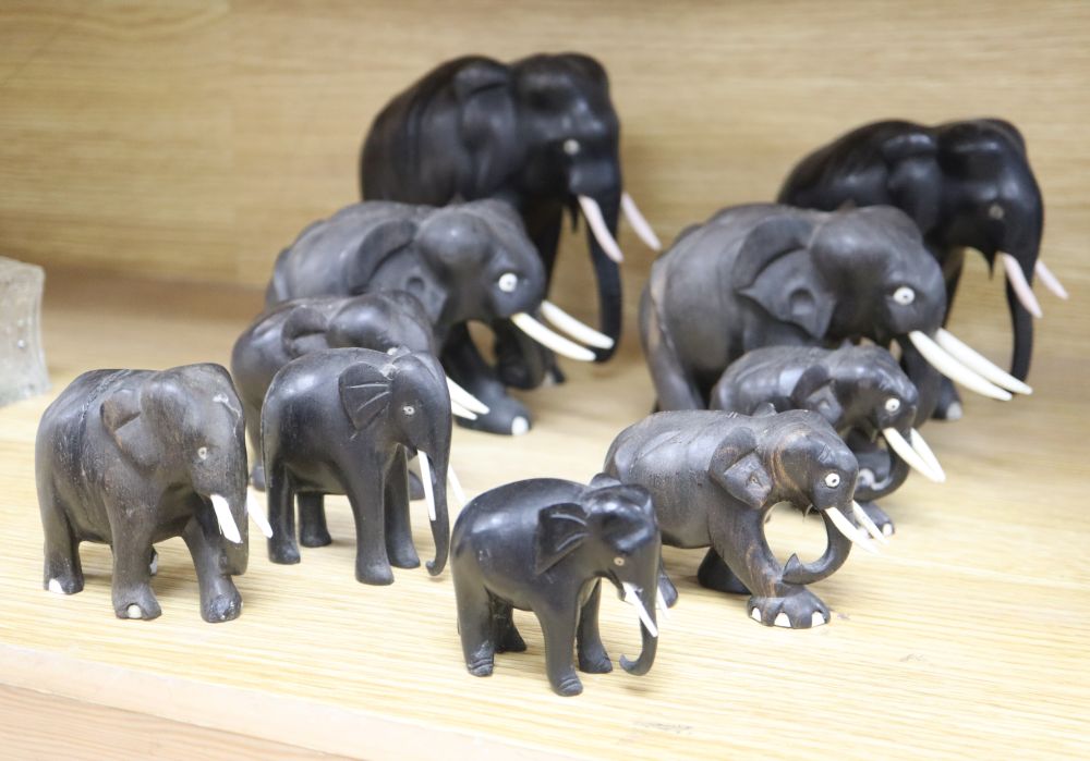 Ten Indian carved ebony elephants, with ivory tusks, c.1900, tallest 16cm